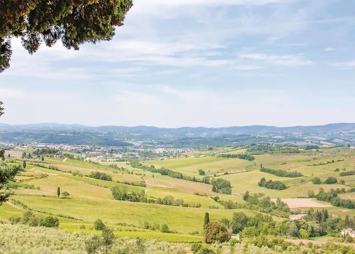 Sangiovese 2 San Donato in Poggio